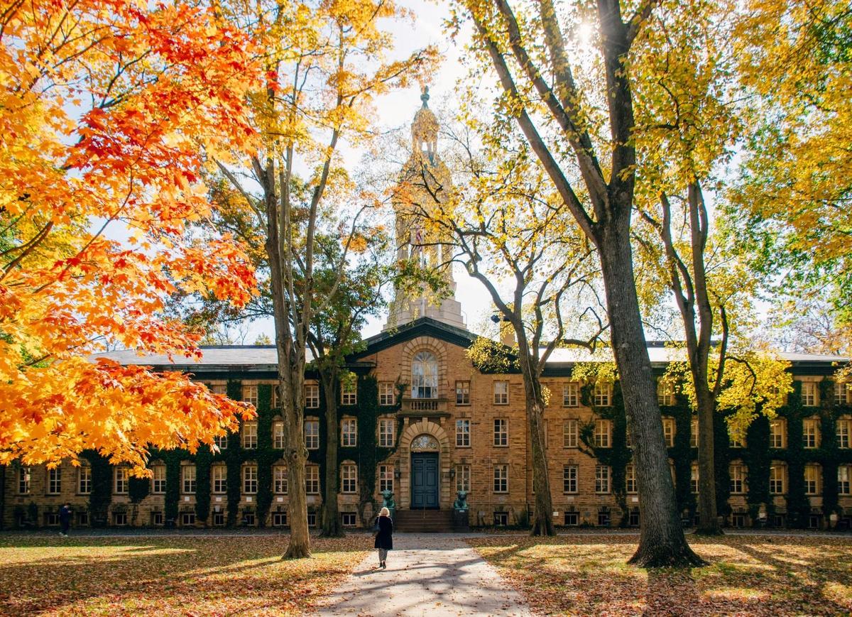 Ivy League Summer Programs for High School Students 2026 | Edify Elite ...